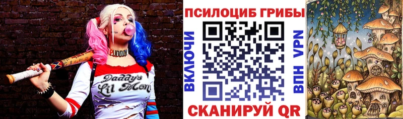 ссылка на мегу как войти  магазин    Кострома  Псилоцибиновые грибы Cubensis 